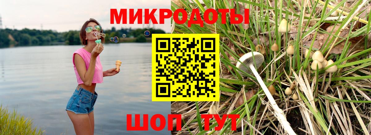 Сосновоборск  Псилоцибиновые грибы Psilocybe  купить закладку  Галлюциногенные грибы ЛСД  Вход с VPN 